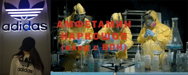 дмт Нея