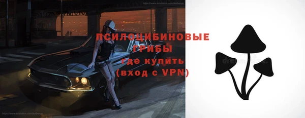 дмт Нея