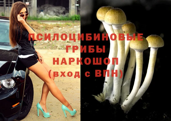 mdma Нефтекумск