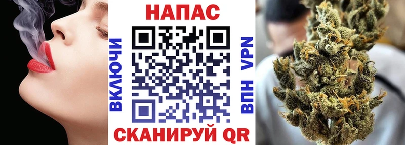 Бошки Шишки гибрид  Тара 